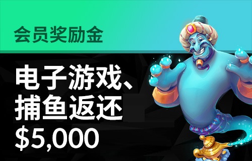 顶级体育平台app新版本开发与数据中心调试现场